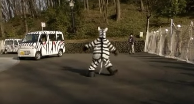 jzoo-zebra2