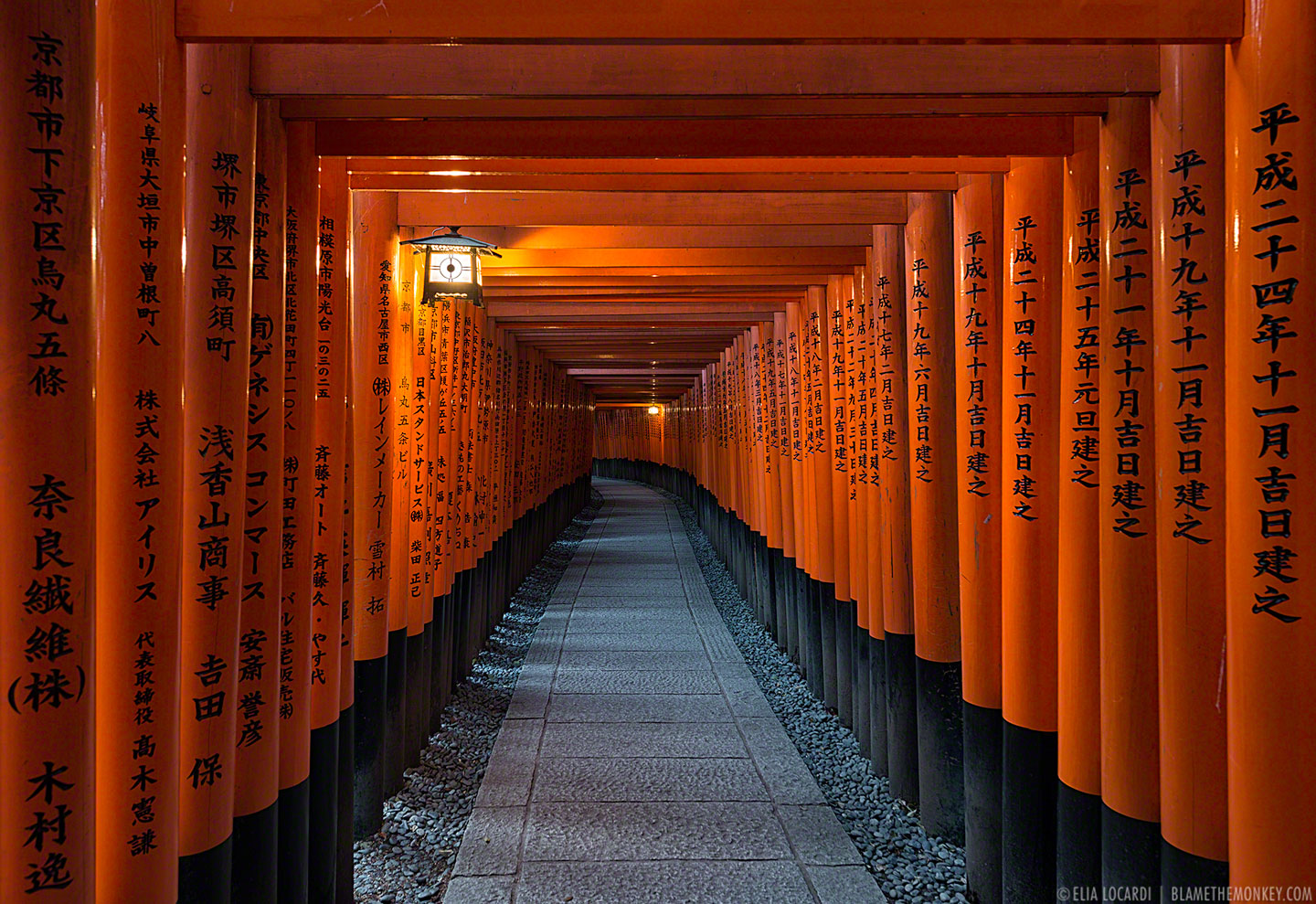 Vermillion Gates - Kyoto, Japan