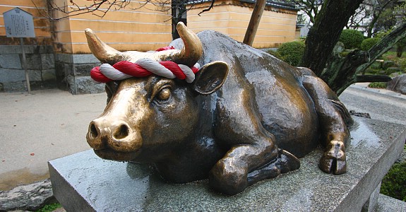 ox dazaifu tenmangu shrine
