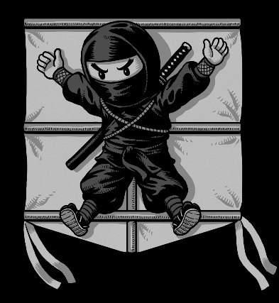 ninja-kite