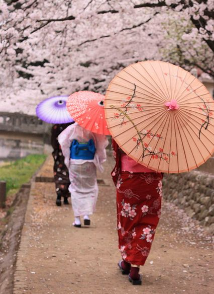 wagasa-japanese-umbrella