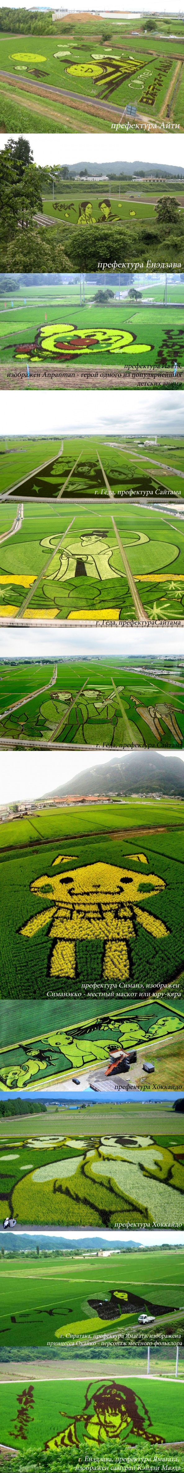 art-rice-paddies-Japan-prefectures-02